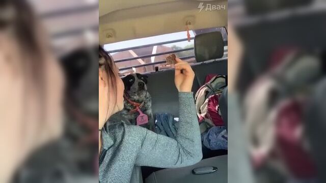 Эээ не понл