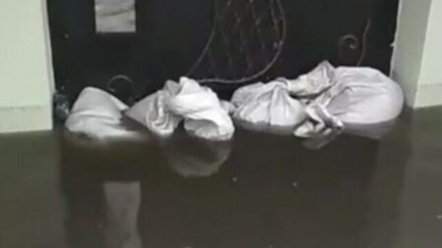 Патоп рэвалюцыйнай