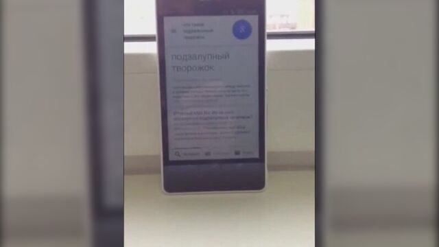 Oкей google, что такое подзалупный творожок