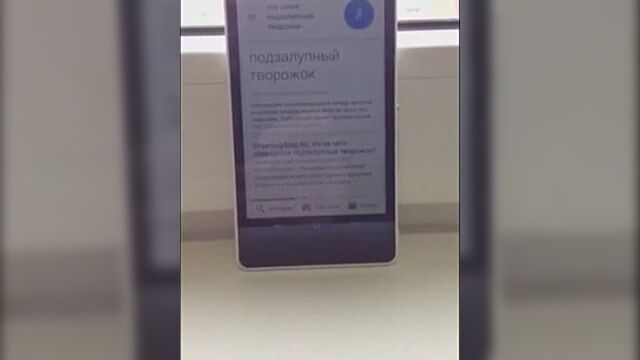 Oкей google, что такое подзалупный творожок?