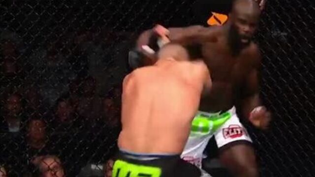 Чейк конго - пэт берри