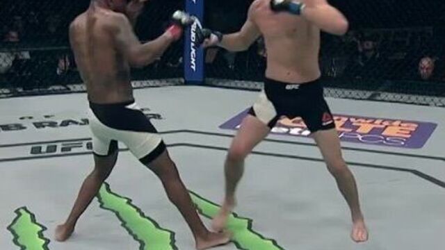 Ufc 262, 15-го мая, нейт диаз возвращается