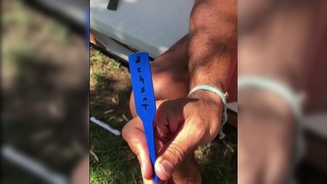 Селим байрактар развлекается