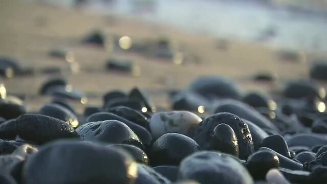 А художник берёт краски-