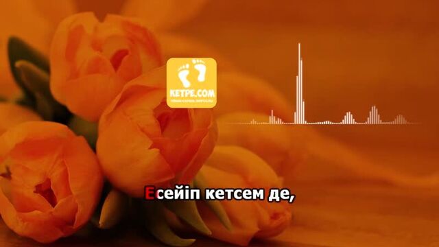 Ана туралы жыр караоке