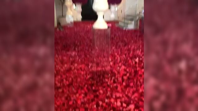 Трэвис сделал сюрприз кайли❤️