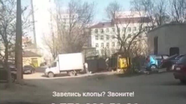 Уничтожение клопов в астане .mp4