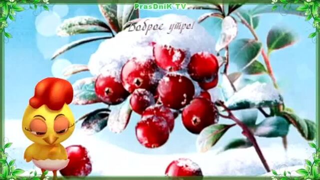 Зимнее пожелание с добрым утром_ доброе утро и отл(360p).mp4