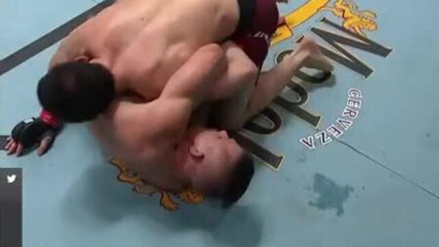 Ислам махачев очередная победа