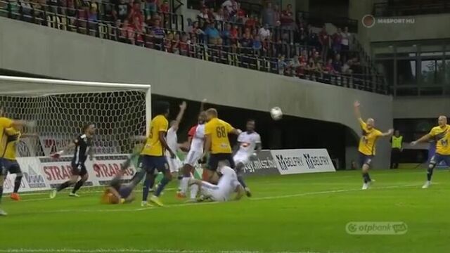 Пушкаш академия - види 2:1. обзор