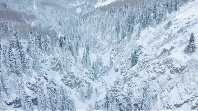 «орёл и решка: девчата» алматы. казахстан— суббота 14:00!