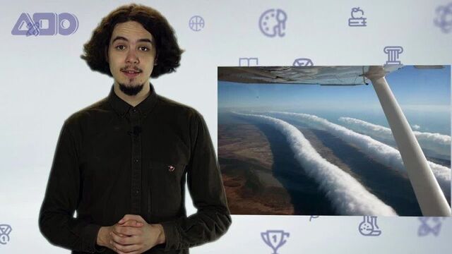 Серия 84. утренняя глория