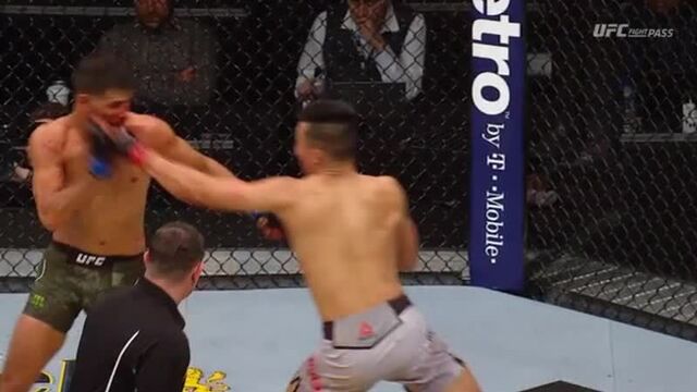 Ufc яир родригез нокаутировал с логтя на последней секунде боя