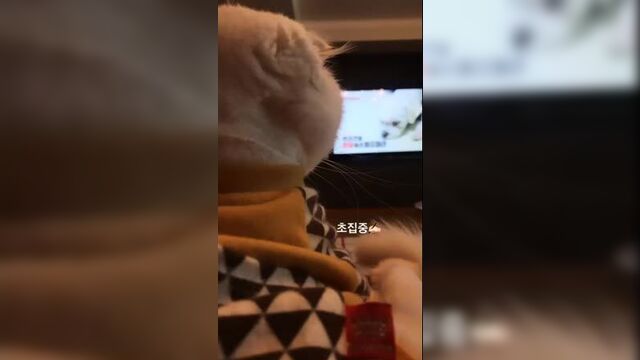 [instagram story] 190428 сестра сою обновила историю в инстаграме (dis___is___me___)