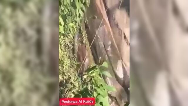 Такая планета. nfrfz gkfytnf.