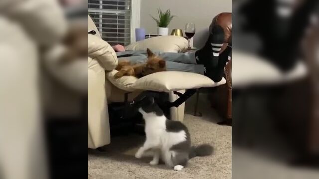 Ну давай поиграем 