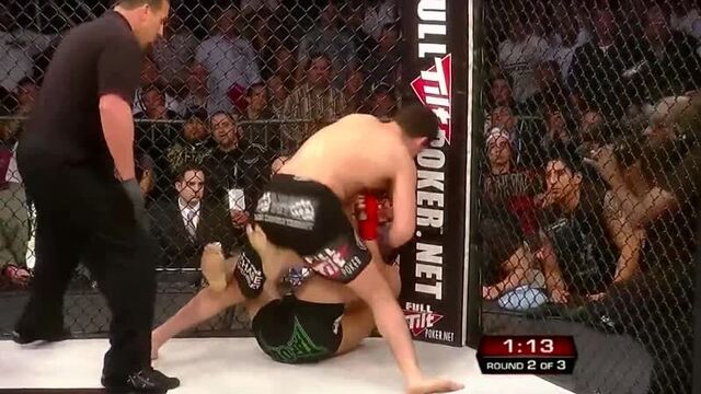 Ник диаз - фрэнк шемрок