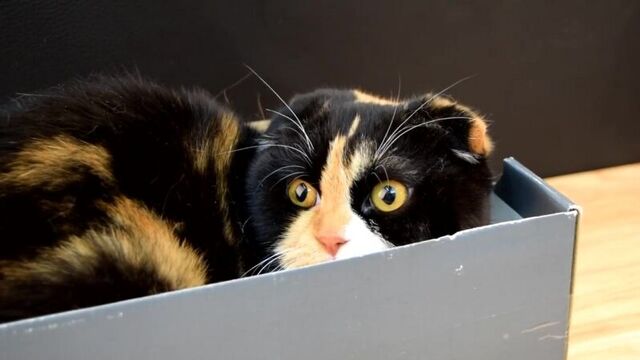 [китай bugaga] это самый лучший спиннер в мире - не плагиат ! + самоделки и посылки