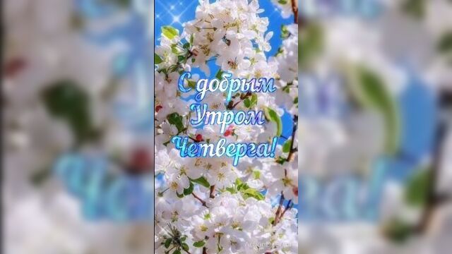 С добрым утром четверга!
