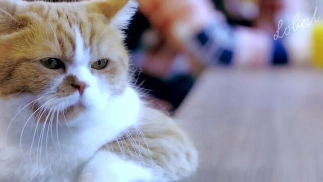 Ну что ты братишка притих