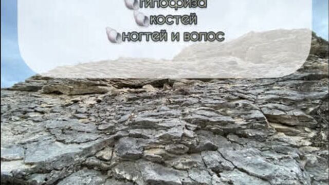 Video by фульво гуминовый комплекс «чёрный мёд»