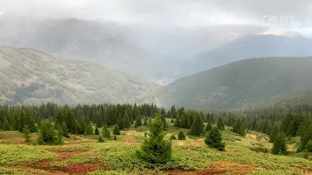 Реквизиты СберБанка