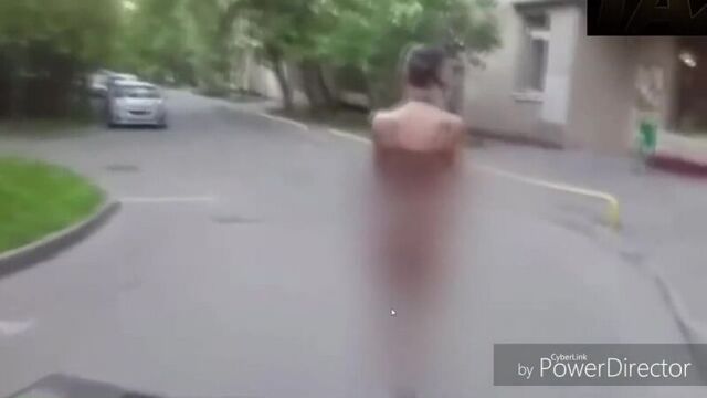 Webm панин, собака, гуфовский