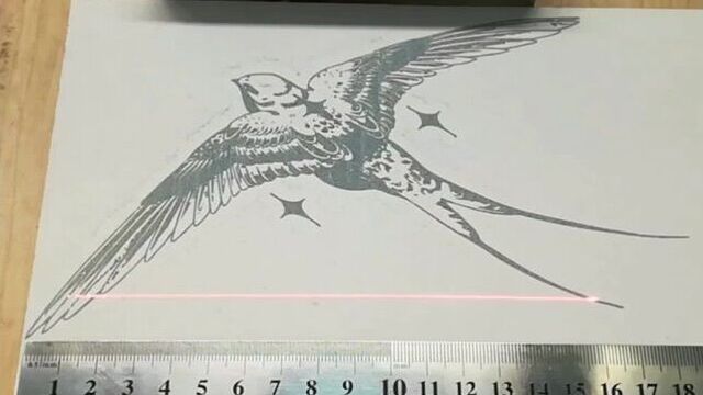 Рисунок ласточка на белом лдсп.