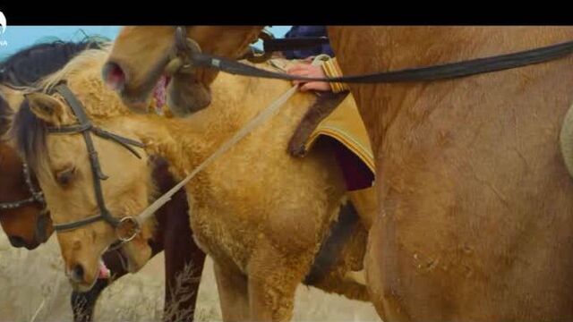 Мен-қазақтың баласы! ролик. асыл арна