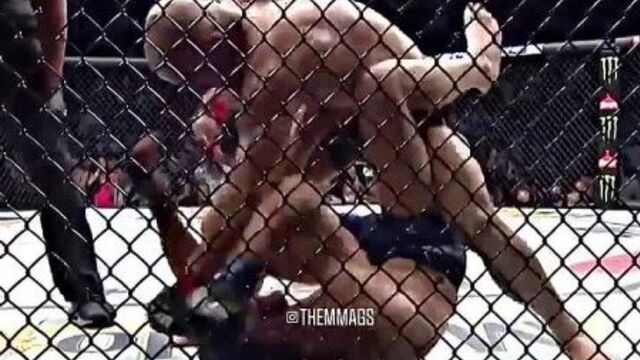 Брайан ортега vs алекс волкановски