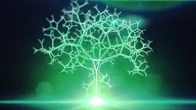 Компания арго