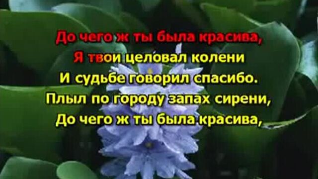 Караоке валерий залкин - одинокая ветка сирени караоке со словами минусовка