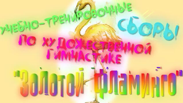 Промо утс золотой фламинго 2020