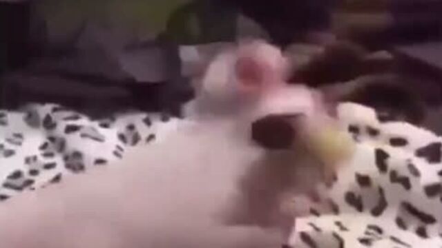 Как сломать девушку