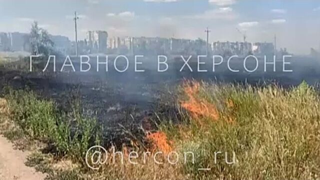 Херсон, горит сухая трава