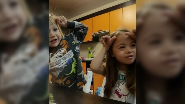 Корова, бык и молоко.