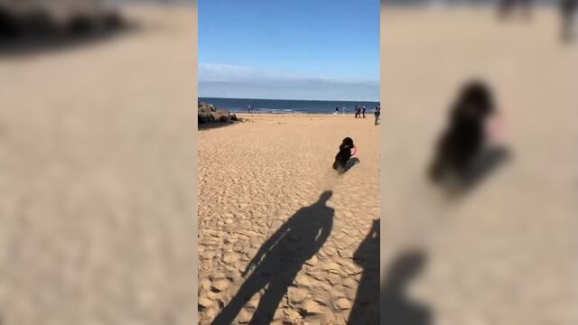 Инстастори башак дизер | 24.10.2019