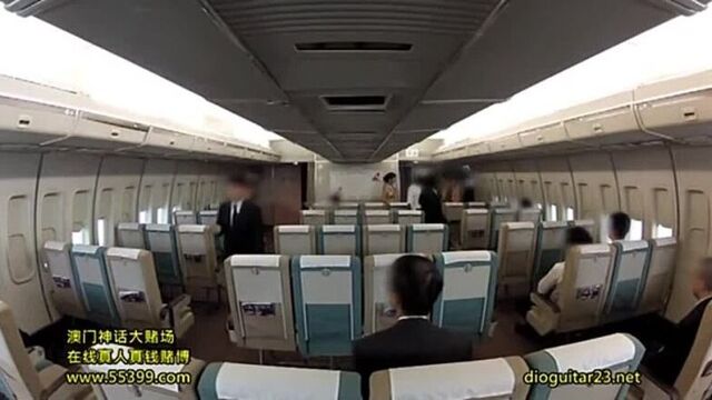 Голые стюардессы