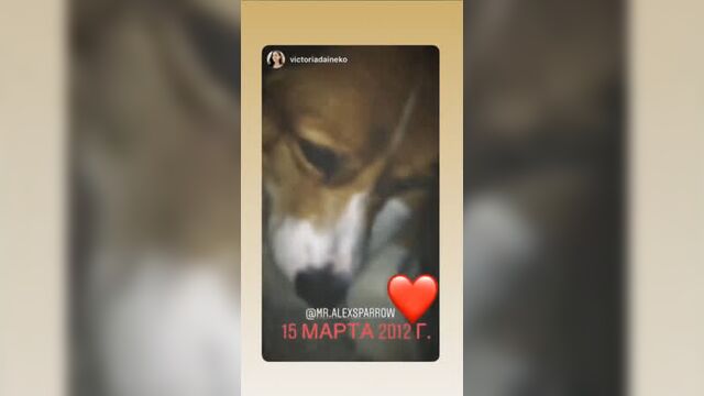 Алексей воробьев: la элвис-мэлвис instagram stories 29.11.2018