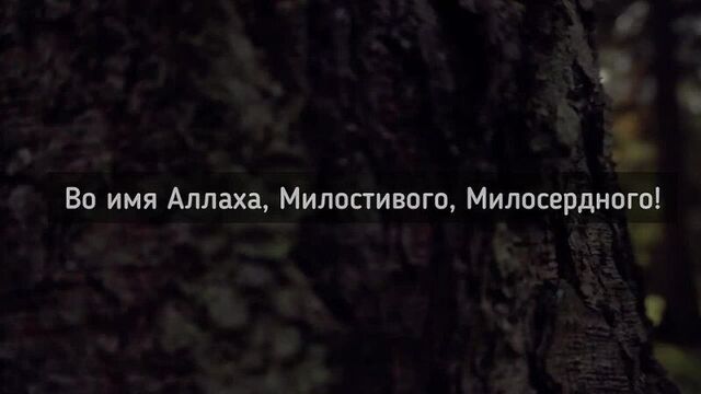 Сура 81 ат-таквир (скручивание) 81:29 аят