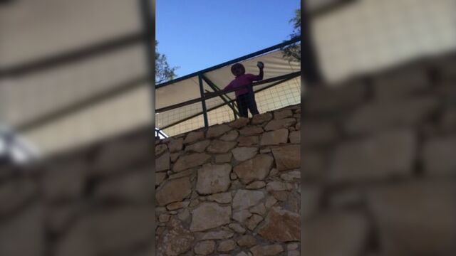 Школник, каман! (scholnik, caman!)