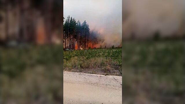 Video by дп йошкар-ола | городской портал