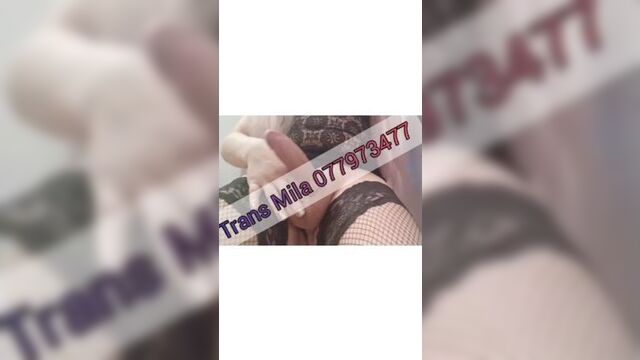 Trans erevan mila 077973477