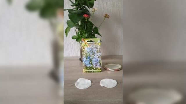 Video by процветок