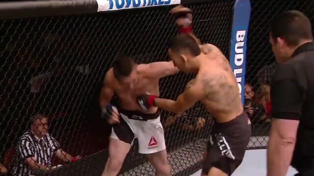 Халоуэй - ламас hl