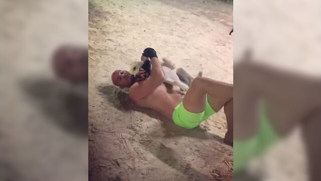 Андрей черкасов играется с сейшиком