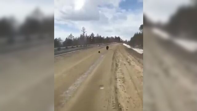 Маленький, да удаленький. якутия (vhs video)