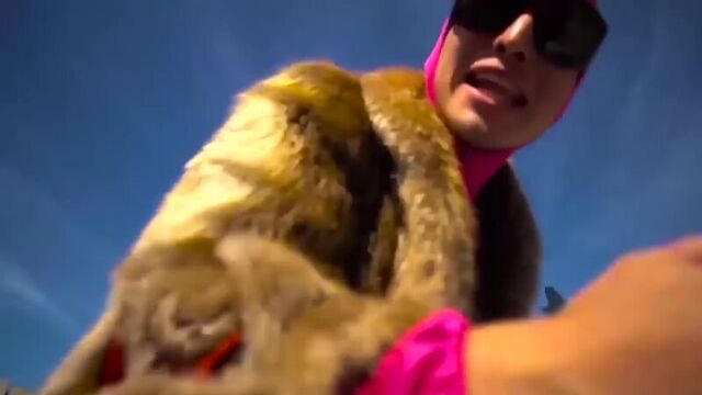 Филти френк vs peta