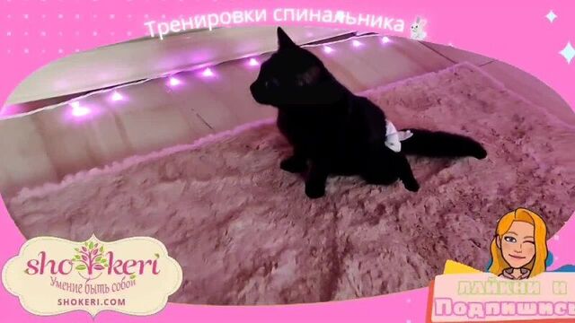 Утренние тренировки спинальника