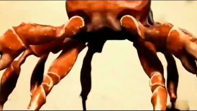 Крабик секс порно флексит ура